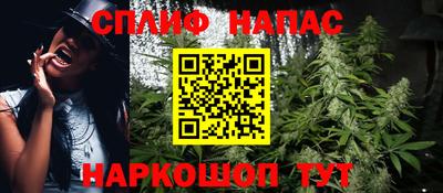 стафф Можга