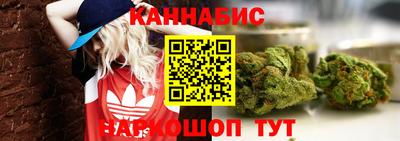 стафф Можга