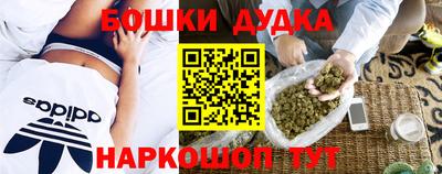 МДПВ Моздок
